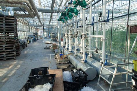 How to Heat Your Greenhouse | Gardener's Path