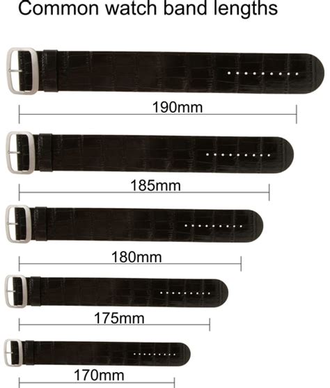 What Size Watch Band Do I Need? | Watch Band Measuring Guide - WatchRanker