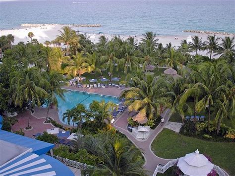 The Palms, Miami Beach | Beautiful places, Favorite places, Places