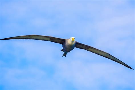 Galapagos Cruise: Wildlife Watching, Snorkeling & Hiking - 11 Days | kimkim