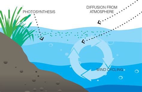 Dissolved Oxygen in Greenhouse - HORIBA