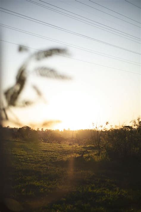 Green Grass Field During Sunset · Free Stock Photo