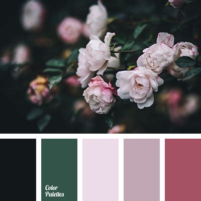 pink and black | Color Palette Ideas
