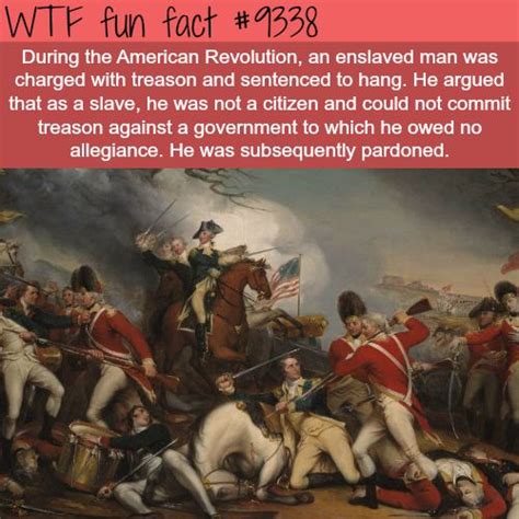 american revolution facts wtf fun facts | Weird facts, Weird history facts, Wtf fun facts