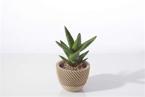 Modern geometric succulent plant pot by SchulteGeileTechnik | Download free STL model ...