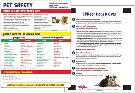 Poison Safety & CPR for Dogs and Cats Chart - Food and Plants Toxic to ...