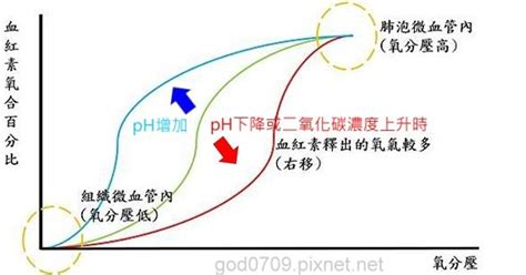 波耳效應