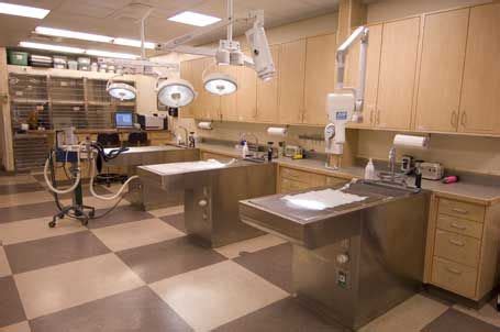 38 Treatment areas: Veterinary hospital design ideas | hospital design, veterinary hospital ...