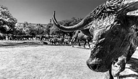 The Goodnight-Loving Trail: A Cattle Drive Branded in the Mind’s Eye