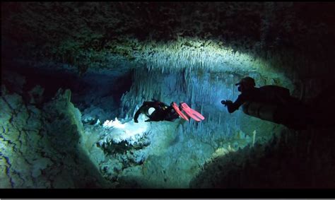 Why Should You Try Cave Diving? | | Cave Diving in Riviera Maya-Guided Cenote Diving