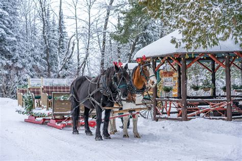 Lantern-lit Adirondack Sleigh Ride Experience | Lake Clear Lodge & Retreat