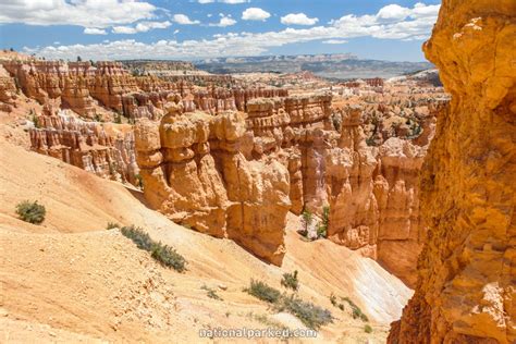 Bryce Canyon National Park Photos - National Parked