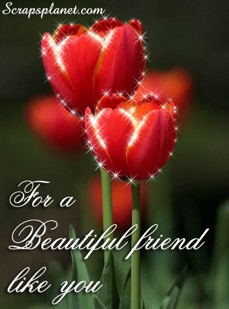 Beautiful Flowers Images With Friendship Quotes - ShortQuotes.cc