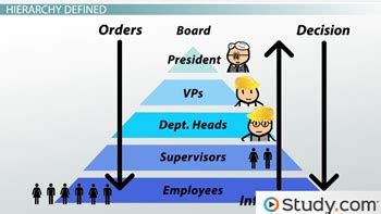 Hierarchical Organization | Structure, Examples & Chart - Lesson | Study.com