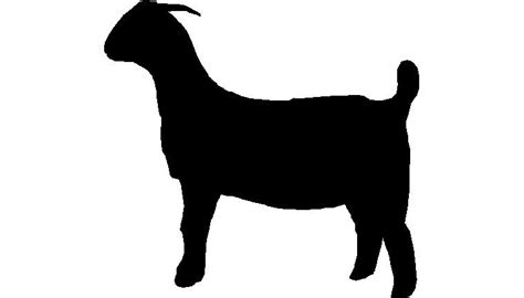 Show Goat Silhouette Goat | Show goats, Boer goats, Goats