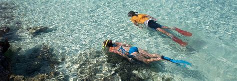 Aruba Snorkeling Guide For April 2024 | Island Life Caribbean