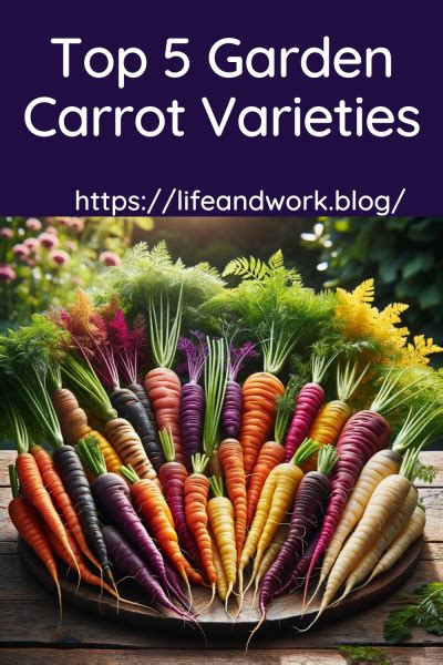 Top 5 Garden Carrot Varieties