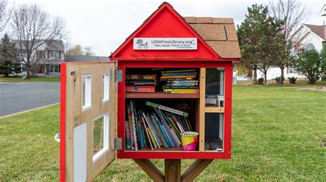 Libraries, Writ Small - The New York Times