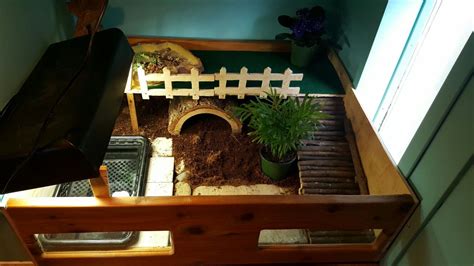 Indoor habitat for our box turtle … | Turtle habitat, Eastern box ...