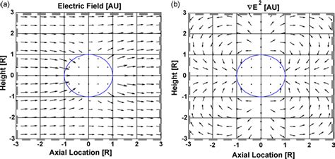 Vector representations of (a) the electric field (E ˜ ) and (b) the... | Download Scientific Diagram