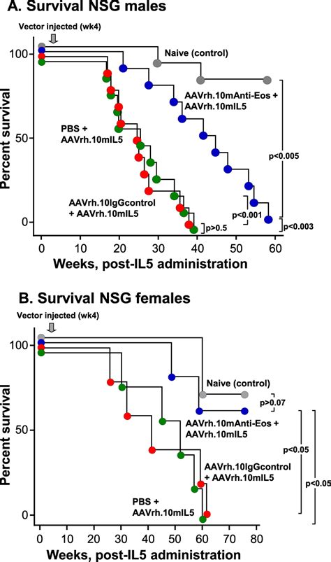 Survival of CEL-NOS NSG murine model mice treated with... | Download ...