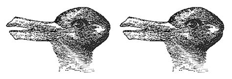 Duck, duck, rabbit: How we see what we see | Faculty of Science