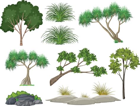 Isolated trees and nature objects set 7699443 Vector Art at Vecteezy