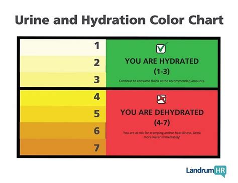 Printable Urine Hydration Chart