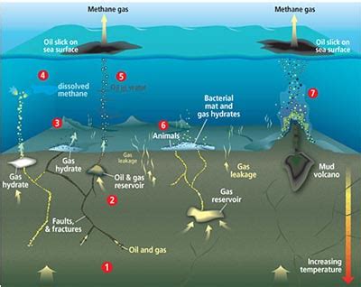 Fears allayed about massive methane burp - Science Media Centre