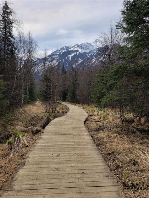 Take This Fall Hike In Alaska To See The Leaves Changing