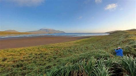 Adak Island: The Central Aleutians – Wilderness Birding Adventures