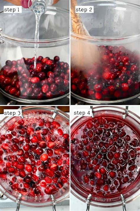 Raw Cranberry Juice Recipe | Deporecipe.co