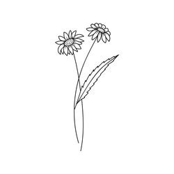 Daisy Tattoo Vector Images (over 580)