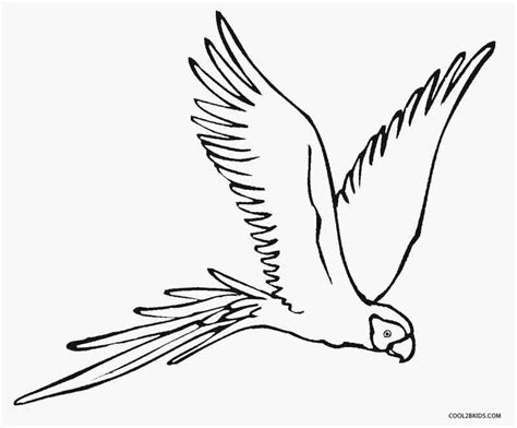 Parrot Flying Drawing at GetDrawings | Free download