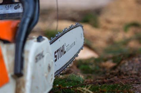 Best Stihl Chainsaw 2021 - Reviews and Top Picks