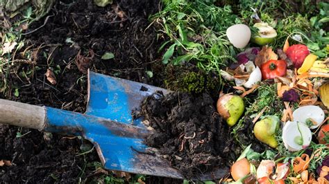 What is compost and how can you make it at home | whas11.com