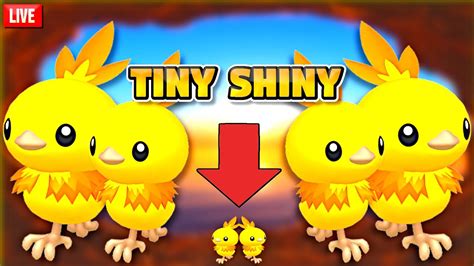 Tiny Shiny Torchic Shiny Hunt - Indigo Disk Shiny Hunting - YouTube