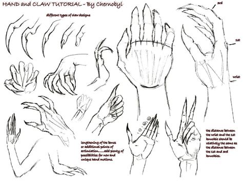 .: Hand+Claw Tutorial :. by Chernobylpets on DeviantArt