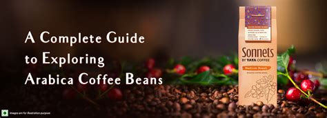 A Complete Guide to Exploring Arabica Coffee Beans