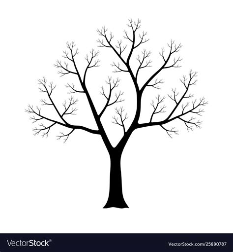 Dry tree silhouette Royalty Free Vector Image - VectorStock