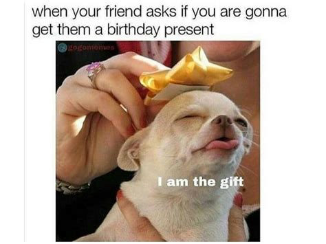 Funny Birthday Memes For Friend