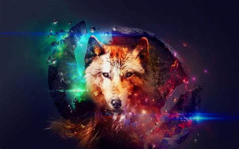 Galaxy Wolf Wallpapers - Top Free Galaxy Wolf Backgrounds - WallpaperAccess