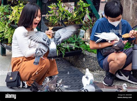 Feeding pigeons in Piazza, Venice Grand Canal Mall, Taguig City, Manila, Philippines Stock Photo ...