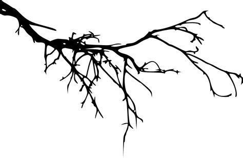 Tree Branch Silhouette Vector Png Tree Branch Vector - vrogue.co