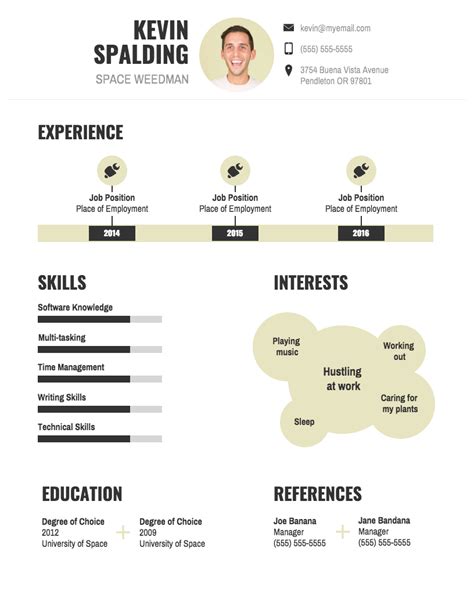 20+ Infographic Resume Examples, Templates & Design Tips