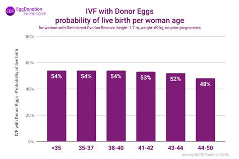 Donor Egg IVF Success Rates - the truth clinics don’t tell you