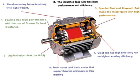 Types Of Three Phase Motors