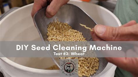 DIY Seed Cleaning Machine: Test #3 with Wheat - YouTube