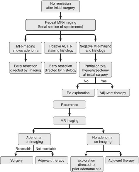 Cushing Syndrome Diagnosis