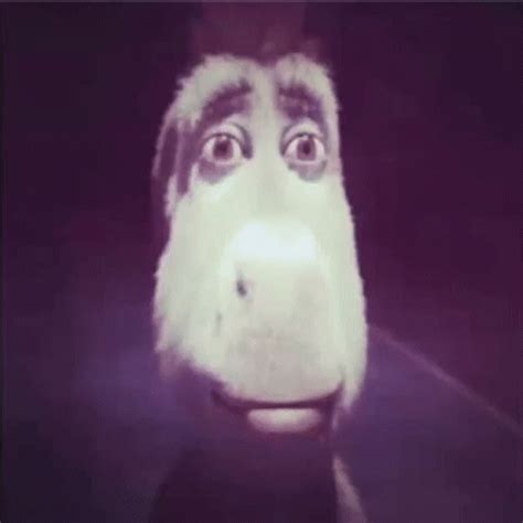 Yanzenie Donkey GIF – Yanzenie Donkey Donkey Shrek – Ищите GIF-файлы и обменивайтесь ими